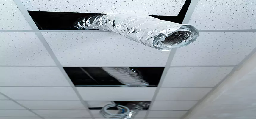 Affordable HVAC Sanitizing After Pest Removal in Fredericksburg