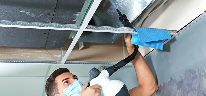 Our Air Duct Rodent Removal Services in Fredericksburg, VA