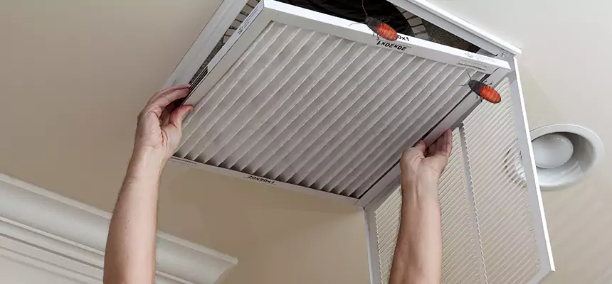 Our Insect Removal from Air Ducts Services in Fredericksburg, VA
