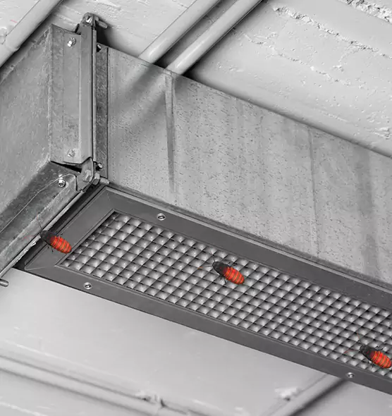 Affordable Insect Removal from Air Ducts in Fredericksburg, VA