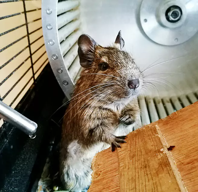 Why Homeowners & Businesses Trust Us Fredericksburg, VA?